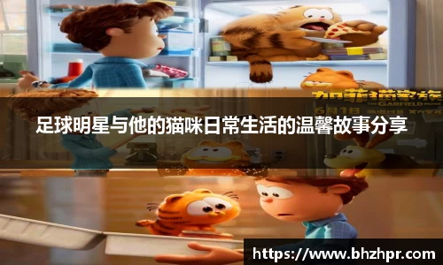 足球明星与他的猫咪日常生活的温馨故事分享